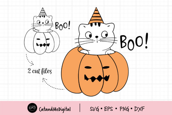 Cat in Pumpkin Halloween: A Designer's Review