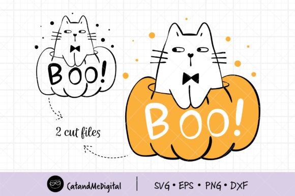 Cat in Pumpkin Holloween: A Designer's Review