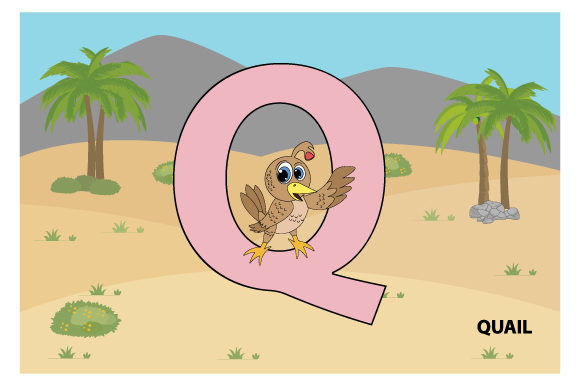 Funny Quail with the Letter Q Embroidery Review