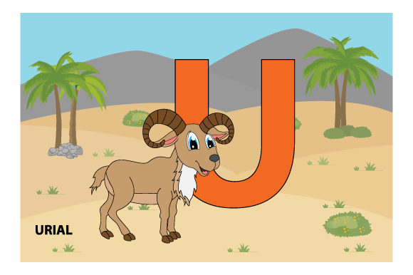 Funny Urial with the Letter U: A Designer Review