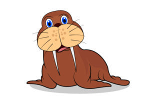Funny Walrus: A Designer's Practical Review