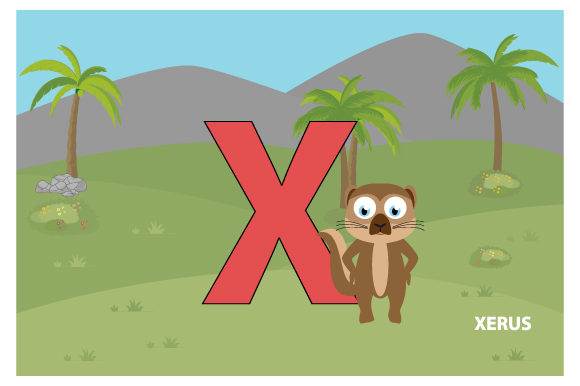 Funny Xerus with the Letter X: A Designer Review